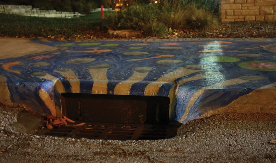 Nightly Drain:  One of the drains found downtown shows water flowing into the sewer.  These paintings remind citizens to not throw trash into the storm drains and to think twice about how their actions affect the environment. Photo by Asa Lory 