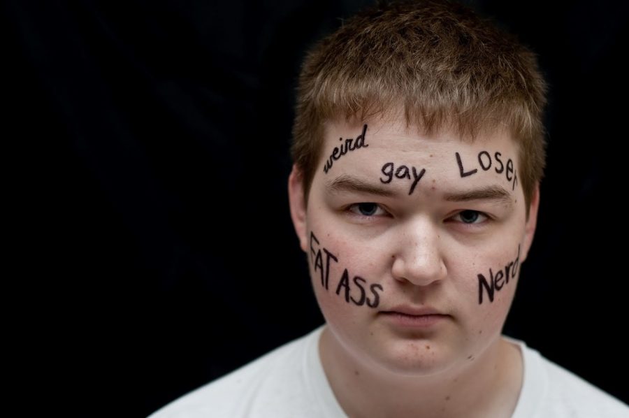 Photos show effects of bullying