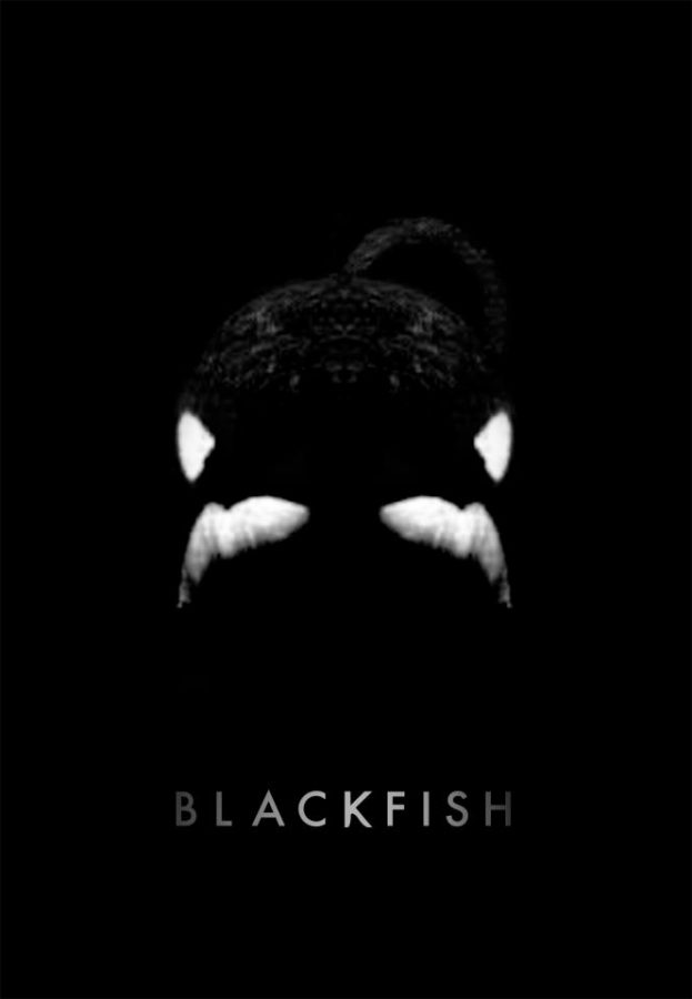 Blackfish teaches needed lesson