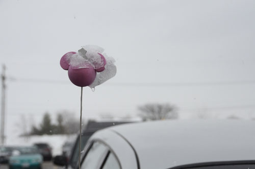 Ice melts on a student's car from the snow storm that cancelled Courtwarming, Feb. 23.