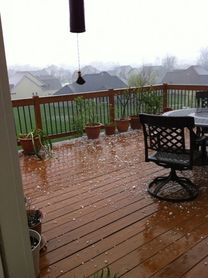 A look at the hail that fell Wednesday, April 17, in Columbia. photo by Trisha Chaudhary