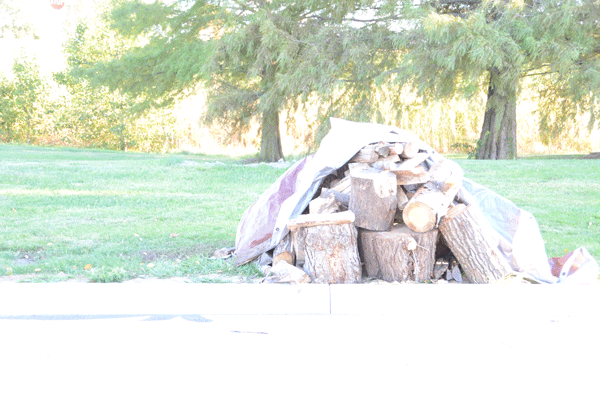 Wood for the Homecoming Bonfire sits unused. Photo by Brittany Cornelison.