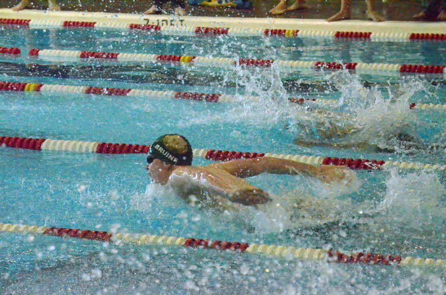 A Bruin pulls ahead, swimming the butterfly stroke at Saturdays meet. Photo by Karina Kitchen