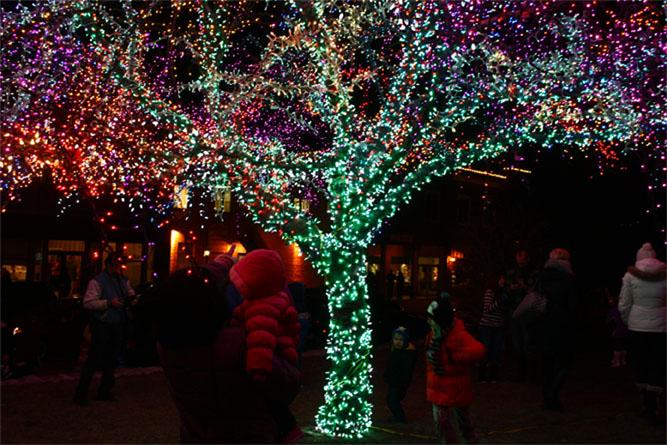 Holiday Festival changes Magic Tree