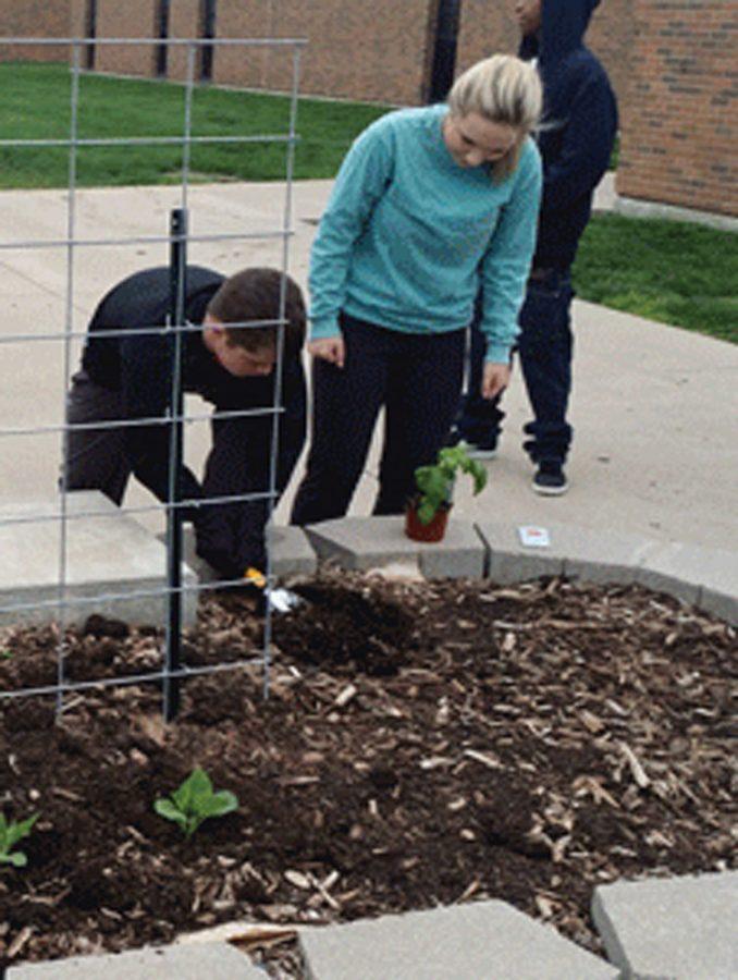 Community Skills students receive the opportunity to plant gardens