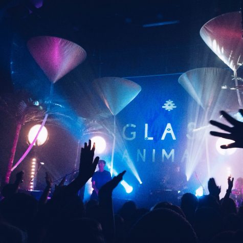 Glass Animals Concert on October 4th, 2015