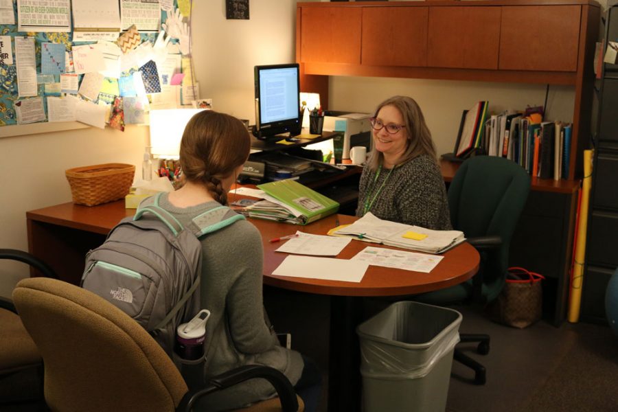 Photo of counselor consulting with student