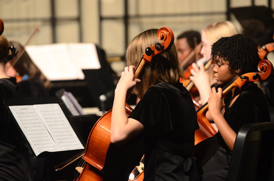 Orchestra to perform winter concert