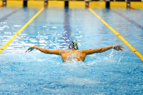 https://elements.envato.com/one-swimmer-athlete-swim-butterfly-stroke-PN79UA3