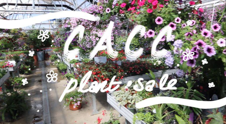CACC+students+prepare+for+flower+sale