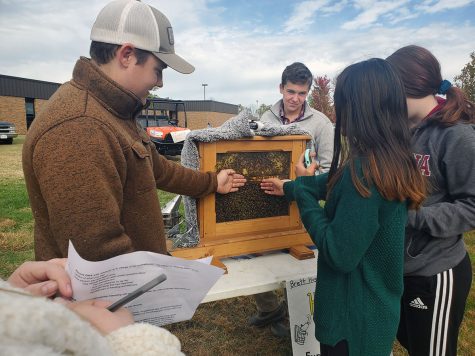 Students are surprised when the surface of the bee habitat is warm.