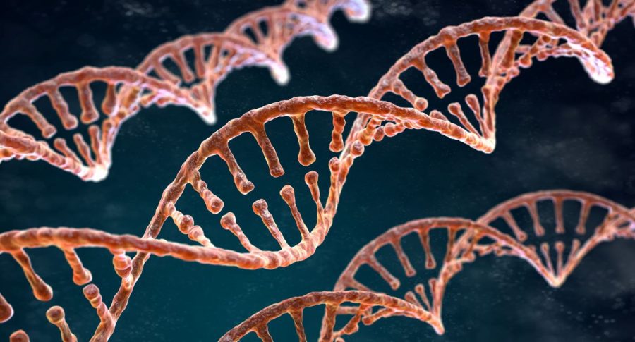 CRISPR+sparks+inspiration%2C+fear+among+scientists