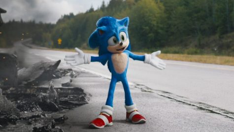 Sonic speeds past consistent plot but gives enjoyable experience