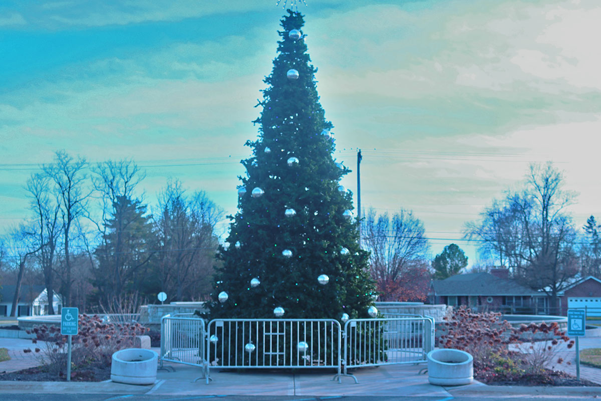 Photo of the Christmas tree outside of the Shelter gardens. 
